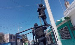 Desmantelan red de videovigilancia usada para presuntas actividades ilícitas