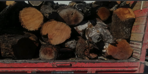 Decomisan cargamento de madera ilegal en la carretera libre a Cerritos