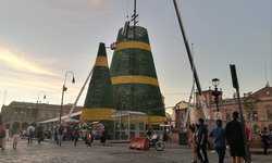 Un árbol tan monumental como la confianza potosina en su Gobierno Estatal