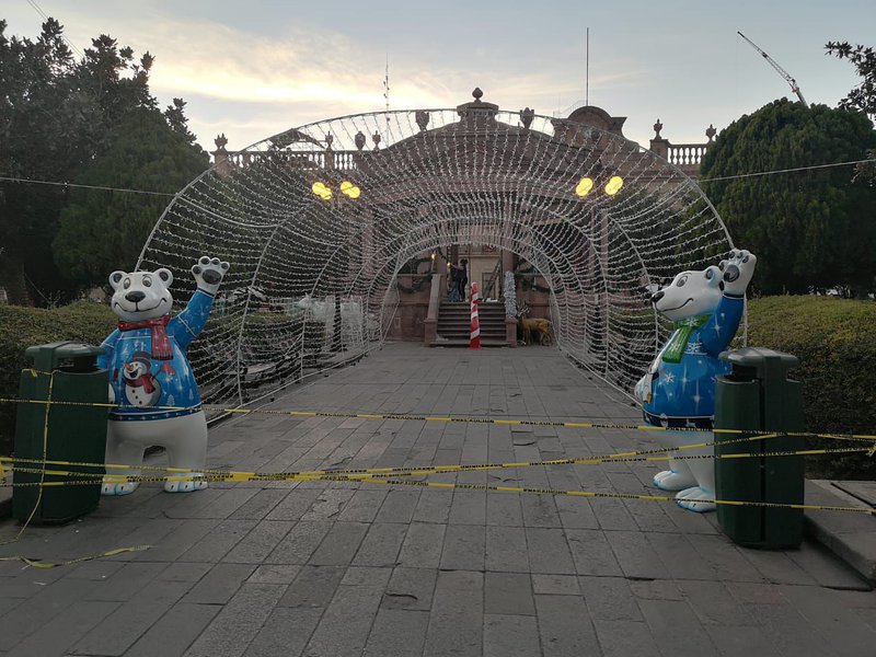 081221 0612, UN ÁRBOL TAN MONUMENTAL COMO LA CONFIANZA POTOSINA EN SU GOBIERNO ESTATAL (11).jpeg