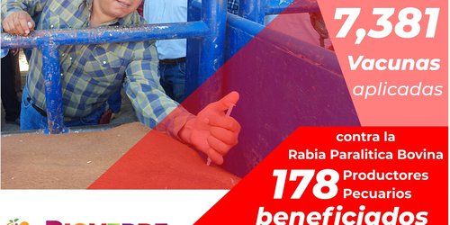Desarrollo Rural Municipal aplicó 7,381 vacunas contra la rabia en primeros 100 días