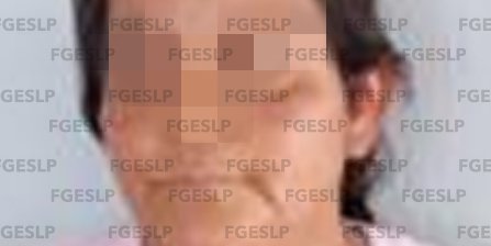 Mujer es arrestada por trata de impedir detención de su hijo