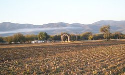 Ejidatarios de Villa Juárez se quejan de empresa por utilizar cañones antigranizo