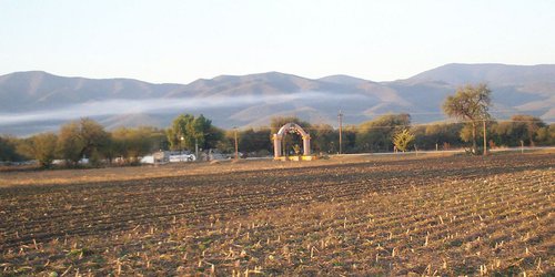 Asesinaron a pensionado de EUA en Villa Juárez