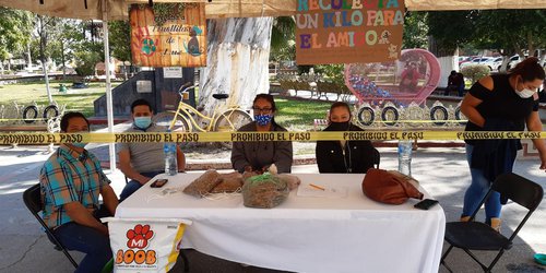 Rescatistas independientes realizan colecta de croquetas para perros y gatos