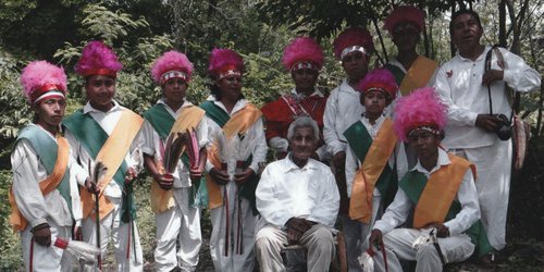 Voladores de Tamaletón: de Tancanhuitz para el mundo