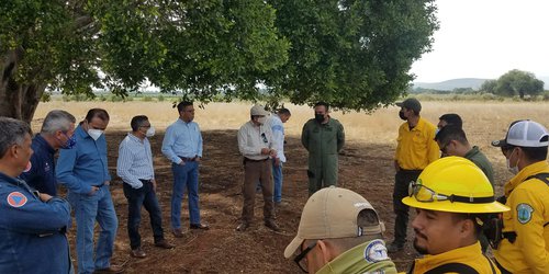 Quedó liquidado el incendio forestal en la sierra de Rioverde