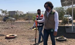 Detectan plaga de topos en jardín de niños de Llanitos