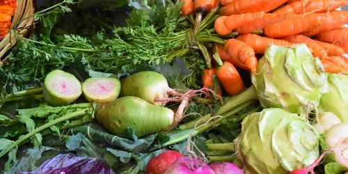 Enfermedades y plagas continuarán afectando producción alimenticia: Guadalupe Galindo