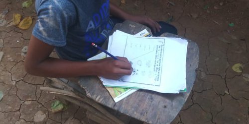 En SLP se efectúan estrategias adicionales para fortalecer aprendizaje a distancia en educación especial