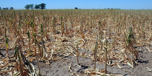 De no ser por remesas de "paisanos" Progreso sería pueblo fantasma