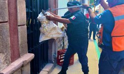 Aseguran víbora de cascabel en pleno Centro Histórico de SLP