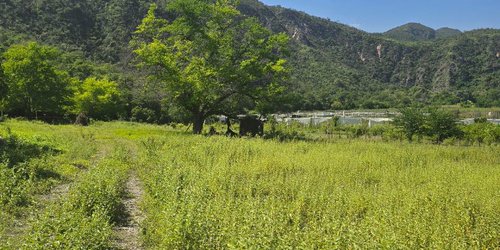 Santa Catarina impulsa sistema de riego en La Encantada para fortalecer producción agrícola