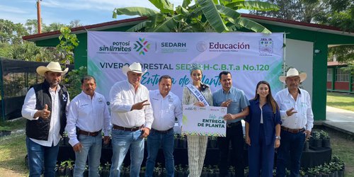 Entregan 6 mil plantas de café para fortalecer la cafeticultura en Xilitla