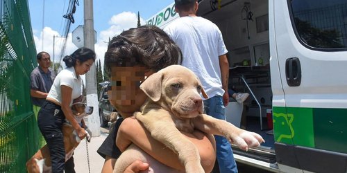 Soledad llama a no regalar mascotas y fomenta la adopción responsable