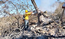 Controlan incendio forestal en San Francisco de Asís; afectó 15 hectáreas