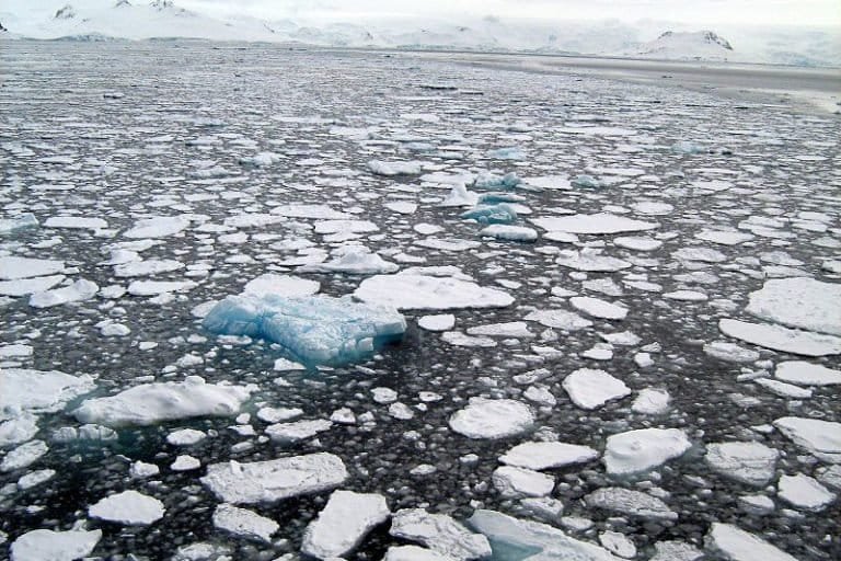 800px-Sea_ice_Antarctica-768x512.jpeg