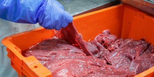 Vigila Agricultura que cárnicos estén libres de clenbuterol