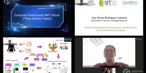 Destacan estudiantes del IPICYT en Concurso virtual 3MT (Three Minute Tesis)