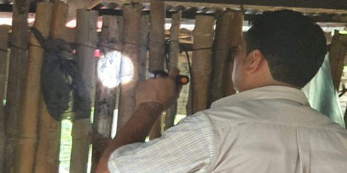 Atiende Salud 11 casos de Enfermedad de Chagas en el estado