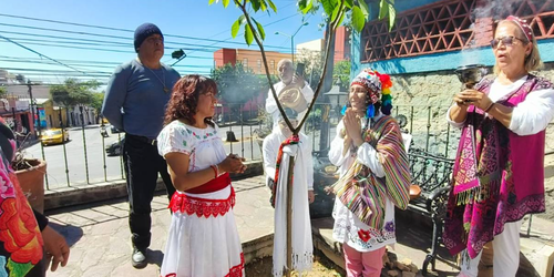 Richard Torres, activista peruano, siembra un árbol por la paz en Oaxaca