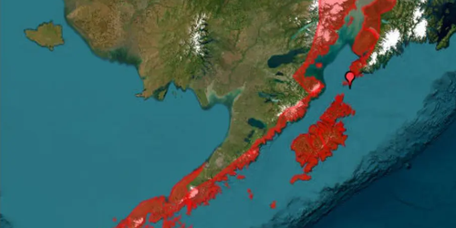 Sismo de magnitud 7.3 sacude Alaska; emiten alerta de tsunami