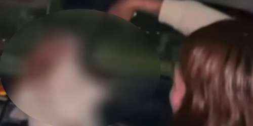 VIDEO indigna en redes: Jóvenes recogen a perrita callejera para emborracharla y después abandonarla a su suerte.