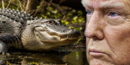 Confirma Sheinbaum detención de 14 mexicanos en 'Alligator Alcatraz'