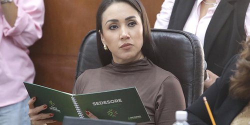 Proponen modificar la ley de Fomento para la Lectura y el Libro del Estado y Municipios