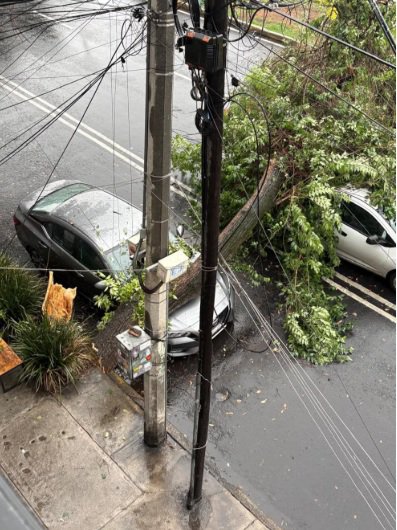 CDMX_Lluvia_3_Mi_Rioverde.jpg
