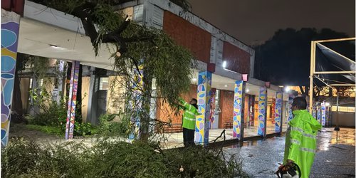 CDMX: inundaciones, un árbol caído en Bachilleres 1 y seis alcaldías en alerta roja