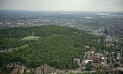 Más de 600 médicos exigen ciudades más verdes en Canadá para mejorar la salud