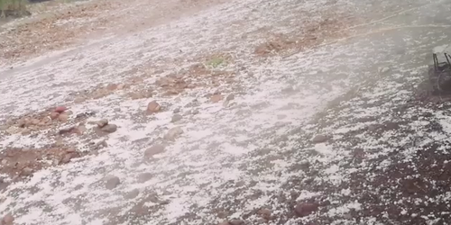 Coordinan acciones para atender a familias afectadas por lluvias en Santa María del Río