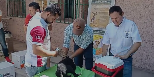 Aplicarán 73 mil vacunas contra la rabia en la Zona Media
