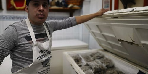 Hay confianza para consumir pescados y mariscos: Comerciante