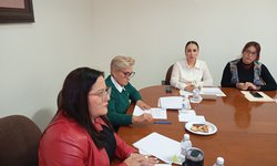 Buscan reforma de Ley para proteger y conservar árboles urbanos en SLP