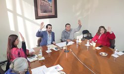 Volverán a consultar a personas con discapacidad, y de pueblos y comunidades indígenas