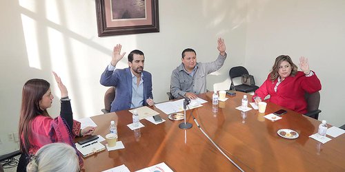 Volverán a consultar a personas con discapacidad, y de pueblos y comunidades indígenas