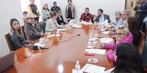 Legisladores aprueban reformas en comisiones para garantizar el cuidado y bienestar animal: Dip. Carlos Arreola