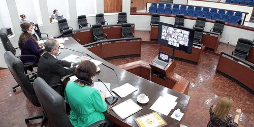 Afecta pandemia a diputados locales