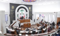 Las personas que integran el Consejo Ciudadano de la CEDH no podrán ser consideradas servidores públicos