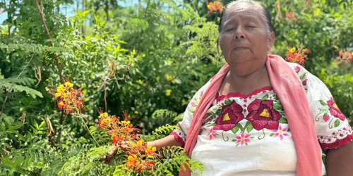 Aprueba Cofepris primer consultorio tradicional indígena en Sonora