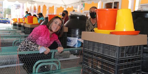 Granjas avícolas mejoran la alimentación y ofrecen un ingreso a familias