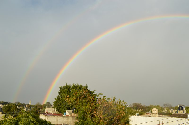 DSC_0267.JPG