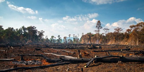 En Brasil, deforestación en Amazonia alcanza récord