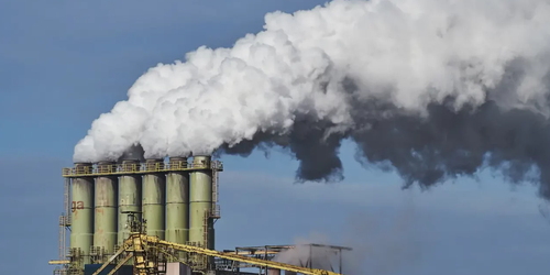 Organizaciones demandan al Estado por omisiones ambientales en Golfo.