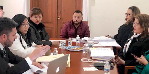 Comisiones aprueban que perros guías puedan subir al transporte urbano