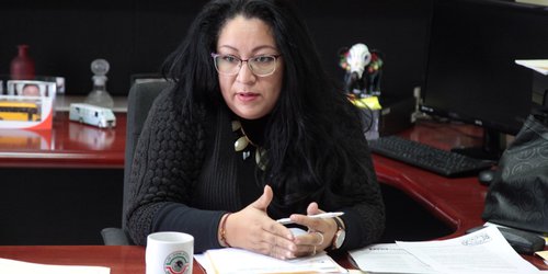 Diputados solicitarán información sobre avances de Red Metro