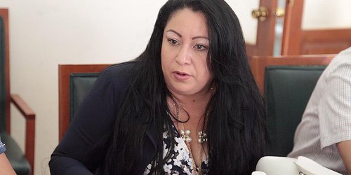 Necesario incluir a más municipios en la alerta de género: Dip Alejandra Valdéz