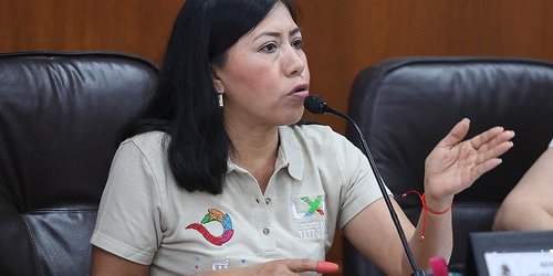 Diputada pide cuidar impacto ambiental en construcción de carretera Valles-Tamazunchale